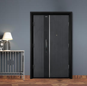 入户门-K9GBF-Z-S0102DH