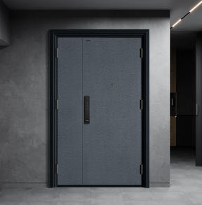 入户门-K9GBF-Z-0102