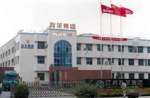 扬州出安智能电动伸缩门亮相在江苏牧羊集团有限公司大门口