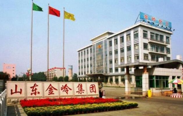 东营出安智能为山东金岭集团有限公司添加卷帘门