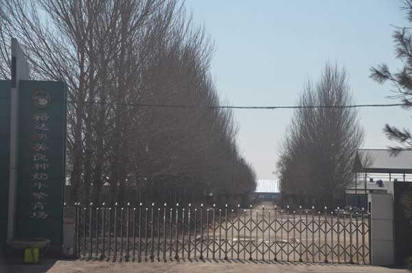 喜迎绥化出安智能电动伸缩门进驻绥化裕达澳美良种奶牛繁育场