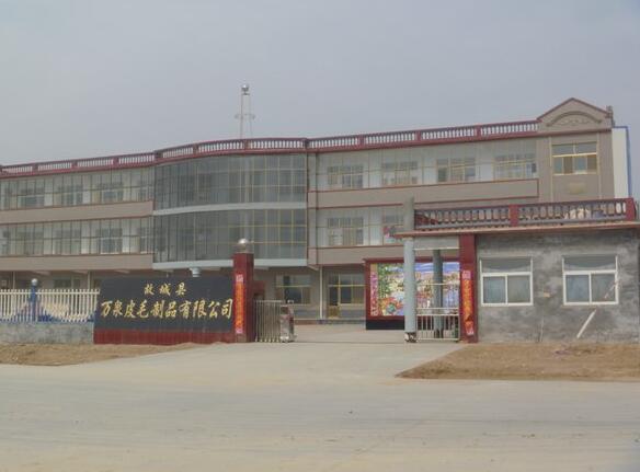 祝贺故城县万泉皮毛制品有限公司迎来衡水出安智能电动伸缩门