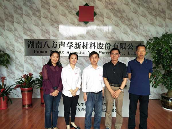 湖南八方声学新材料股份有限公司