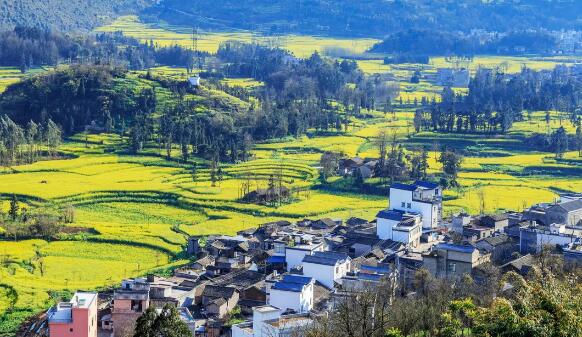从传统畜牧到数字化养殖