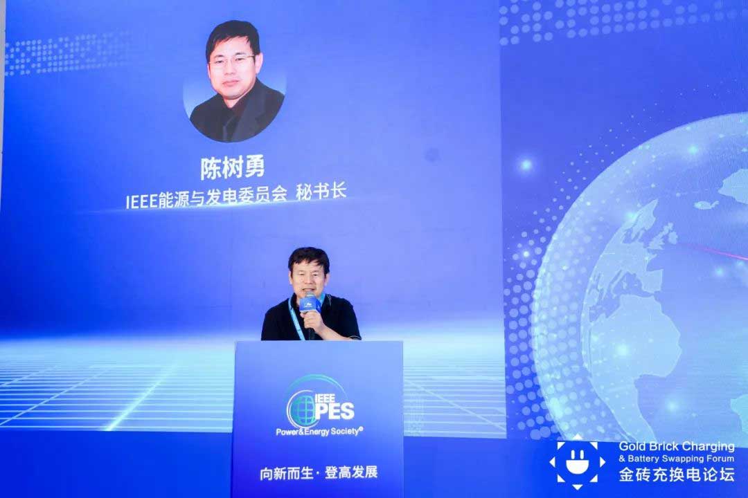 IEEE PES能源与发电委员会秘书长陈树勇