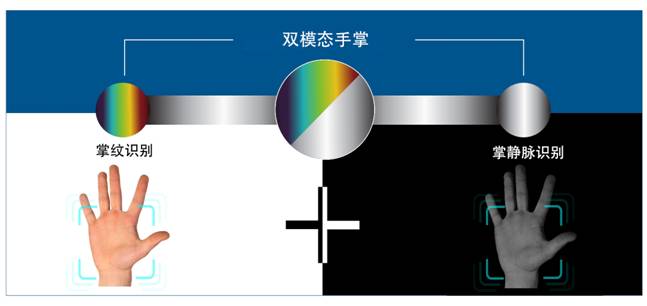 多模态手掌识别技术