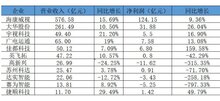 出入口安防巨头2019年报：增速下滑