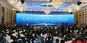 金鸿星48套智能伸缩平移门助力中非经贸博览会