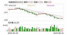 海康威视：发布2024年半年度报告，比上年同期增长9.68%；