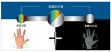 加速城市数字化！多模态手掌识别技术引领场景创新