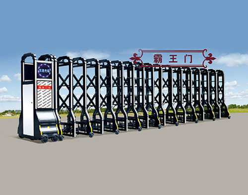 霸王伸缩门