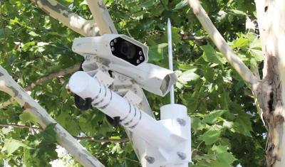 其他 - 路内停车