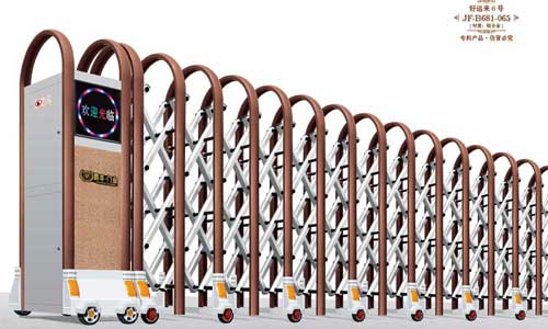 其他 - 好运来6号JF-B681-065