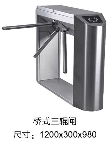 桥式三辊闸