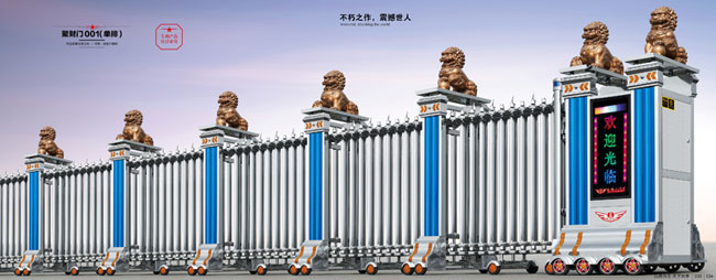 聚财门001(单排)伸缩门