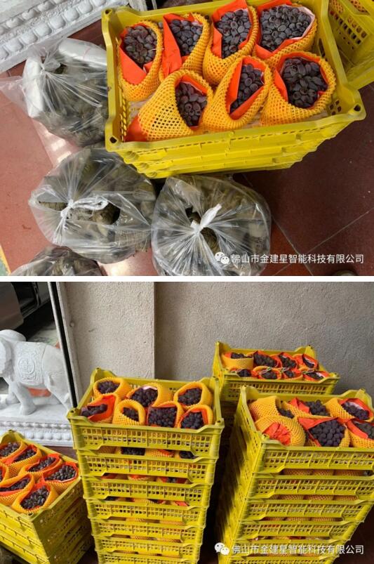 端午传情，浓情粽香