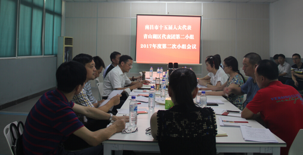 南昌市青山湖区区长、市人大代表到访百胜调研