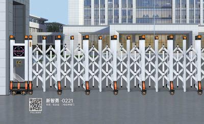 其他 - 新智勇 0221