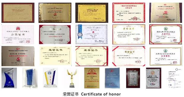 荣誉证书 Certificate of honor