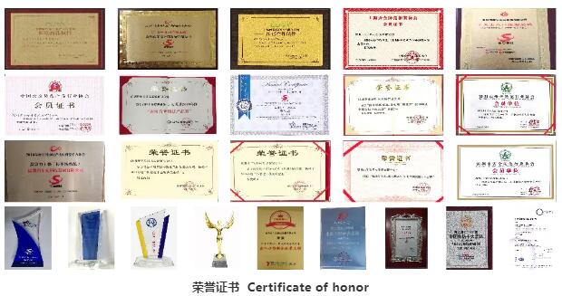 荣誉证书 Certificate of honor