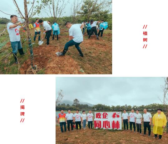 江苏国强植树和揭牌