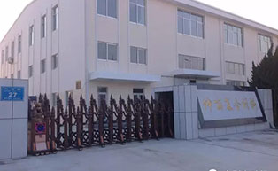 仲丽复合材料有限公司伸缩门工程案例