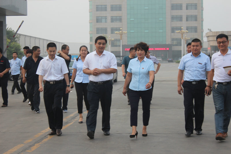 安平县张县长来金标考察指导