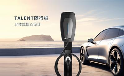 其他 - TALENT随行桩