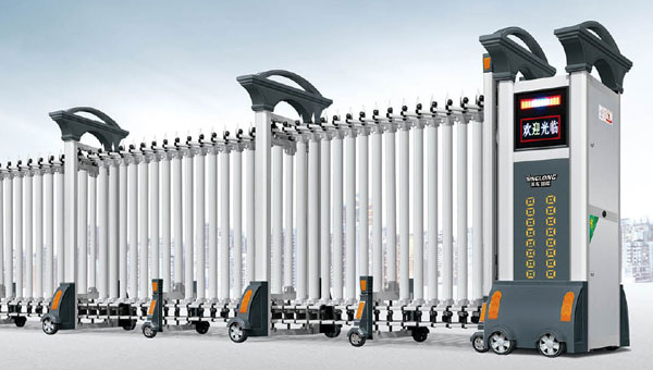 其他 - 欧罗宝盾-221503-C2