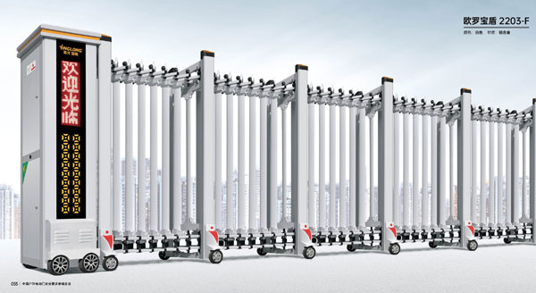 其他 - 欧罗宝盾-2203-F