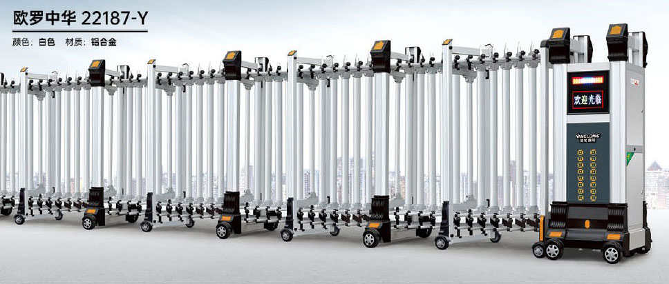 欧罗中华-22187-Y