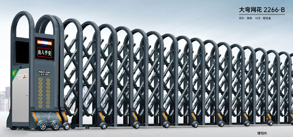 其他 - 大弯网花-2266-B