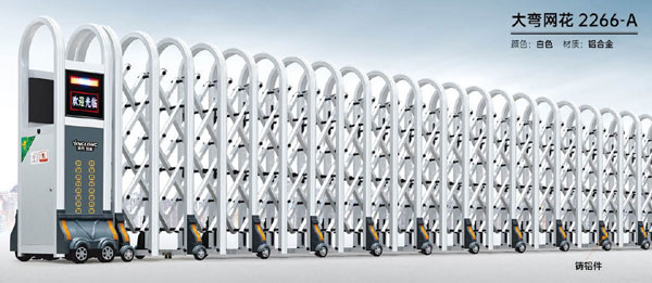 其他 - 大弯网花-2266-A