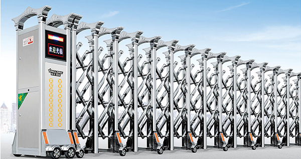 其他 - 大飞鹰22168