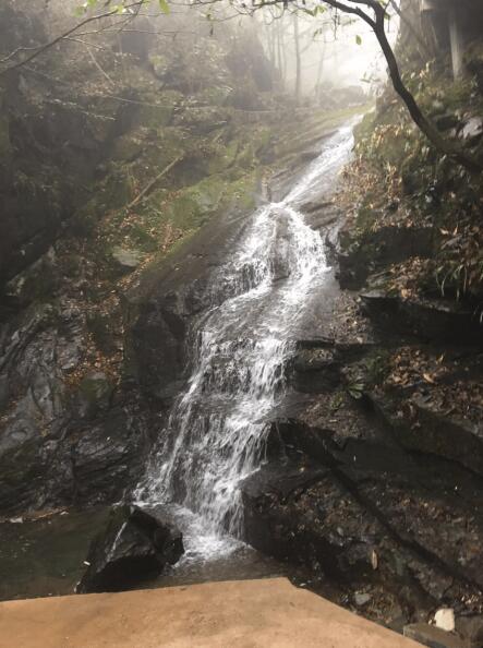 FAAC集团年会活动