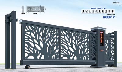 其他 - 智能直线门05