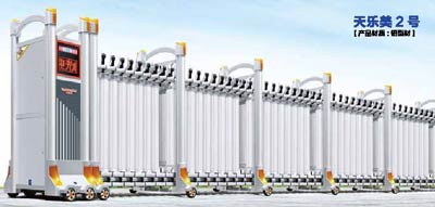 其他 - 天乐美2号