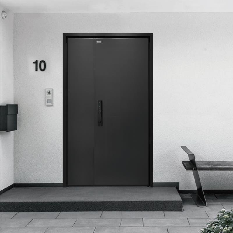入户门-K9GBF-P40-0102MM