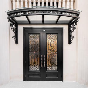 其他 - 入户门-ZP-帝雅玻璃门花