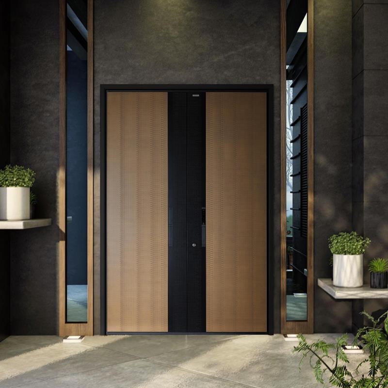 别墅门-雅帝清猗