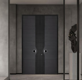 其他 - 别墅门-雅帝塞纳