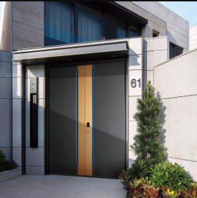 其他 - 别墅门-雅帝天际