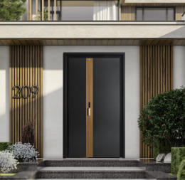 其他 - 系统门-B587