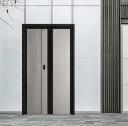 其他 - 系统门-B578