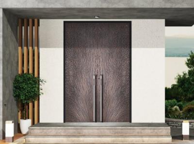 其他 - 被动式系统门-皇士金盾被动门-010