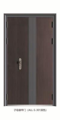 其他 - 子母装甲门（ALL-S-301）