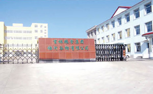 吉林粮食集团伸缩门案例