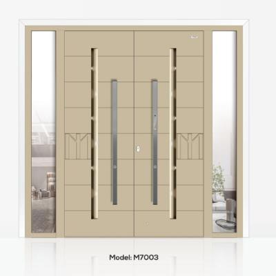 其他 - 入户门-M7003