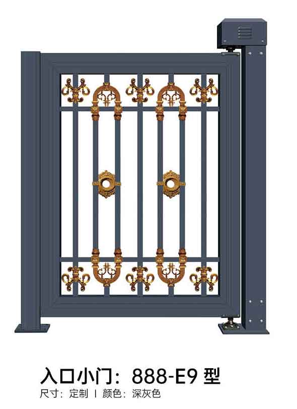 入口小门888-E9型