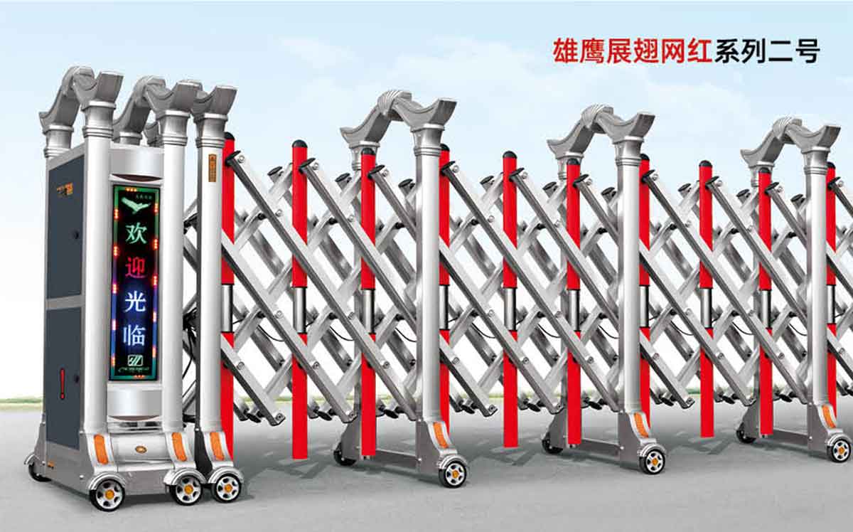 雄鹰展翅网红系列二号